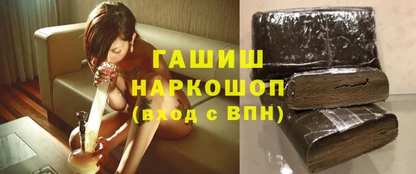 гидра Кодинск