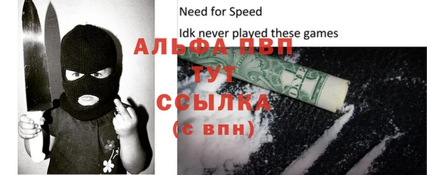 гидра Кодинск