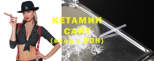 гидра Кодинск