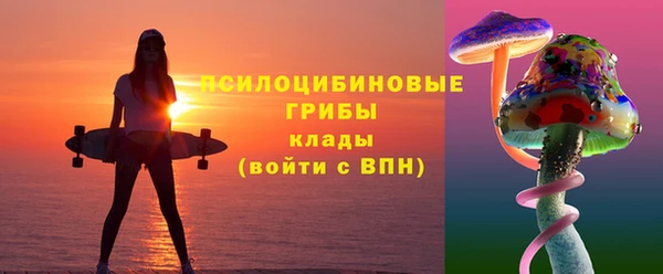 гидра Кодинск