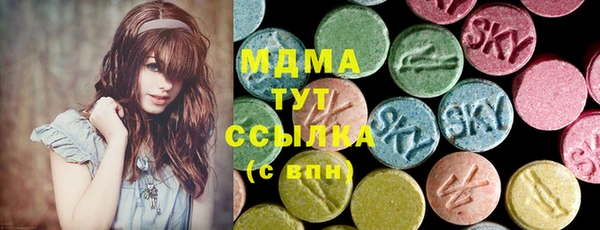 гидра Кодинск