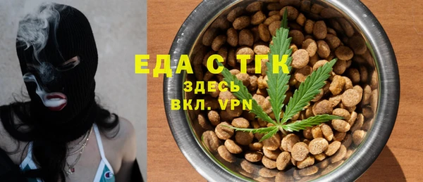 гидра Кодинск
