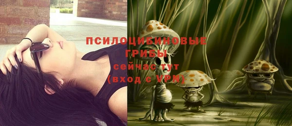 гидра Кодинск