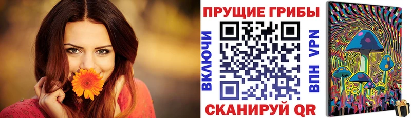 Галлюциногенные грибы Psilocybe  продажа наркотиков  Курильск 